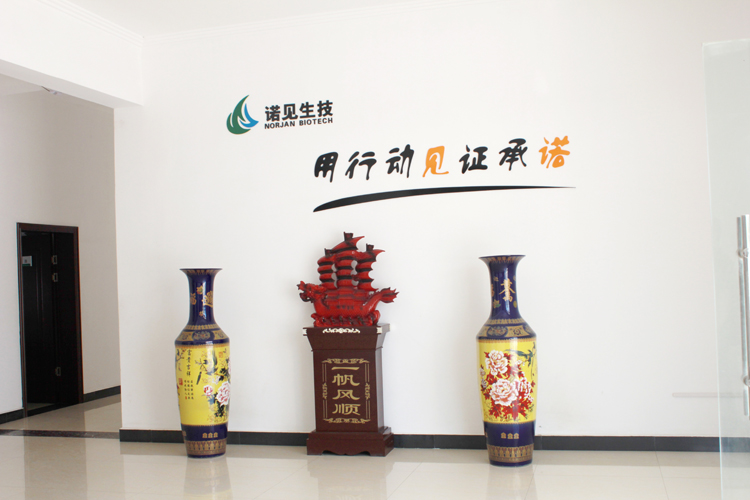 用行動見證承諾.jpg